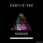 Paradigm (Christian Martinec Remix)