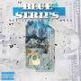 Blue Strips (feat. BGee) [Explicit]