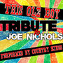 This Ole Boy (Tribute to Joe Nichols) - Single