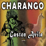 Charango