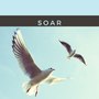 Soar