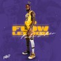 Flow LeBron