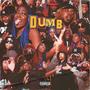 DUMB (feat. HomeyHill) [Explicit]