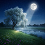 Moonlit Magic