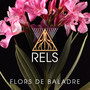 Flors de Baladre