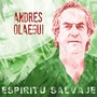 Espiritu Salvaje