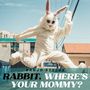 Rabbit, Where's Your Mommy? - Banjo Styles