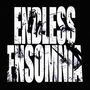 ENDLESS ENSOMNIA