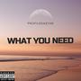 What You Need (Explicit)