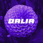 Dalía