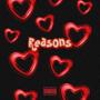 Reasons (Explicit)