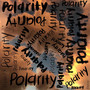 Polarity (Explicit)