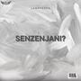 Senzenjani (feat. LaMnyandu) [Explicit]