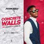 Concrete Walls (feat. Jaddo & Lord X) [Explicit]