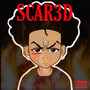 SCAR3D