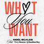 What You Want (feat. Trey Monroe) [Explicit]