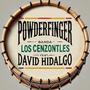 Powderfinger (feat. David Hidalgo)