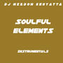 SOULFUL ELEMENTS