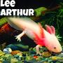 Albino Mudpuppy (Explicit)