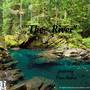 The River (feat. Fran Andres) - Single