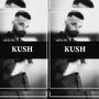 KUSH (feat. ProdByMikeD) [Explicit]