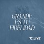 Grande Es Tu Fidelidad (feat. Katie Scruggs)