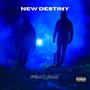 NEW DESTINY (feat. F.I.N) [Explicit]