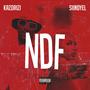 NDF (feat. Siindyel) [Winter Version]