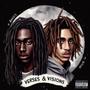 VERSES & VISIONS (Explicit)