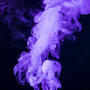 Purrple Smoke (feat. Lei Lo Beats) [Explicit]