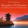 Kingdom of Senses: Beautiful Relaxing Music from the Middle Kingdom