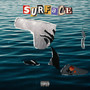 Surface (Explicit)