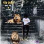 Heart Like A Lion (Explicit)