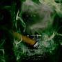 an-o-nym-i-ty (Explicit)