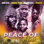 Peace Of Mind (feat. Shegz Ade)