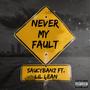 Never My Fault (Explicit)