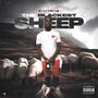 The Blackest Sheep (Explicit)