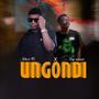 Ungondi (feat. Wellz45)