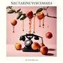 Nectarine Voicemails