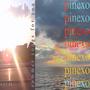 summer songs for you (Explicit)