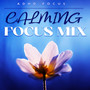 Calming Focus Mix