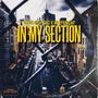 In My Section (feat. Danger Da Mac) [Explicit]