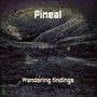 Wandering Findings