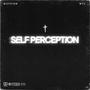 Self Perception (Explicit)