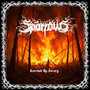 Scorched by Sorcery