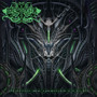 Devour the Contrarian
