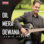 Dil Mera Dewana