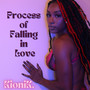 The Process of Falling in Love (Explicit)