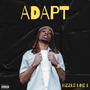 Adapt (Explicit)