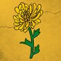 Dashboard Dandelion